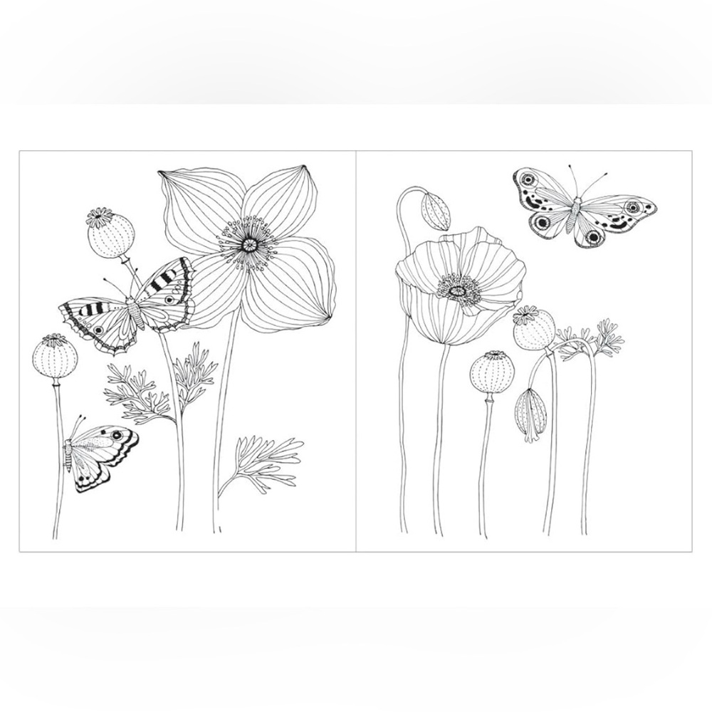 Avian Friends Coloring Book with Floral Design - Picture 4 of 8